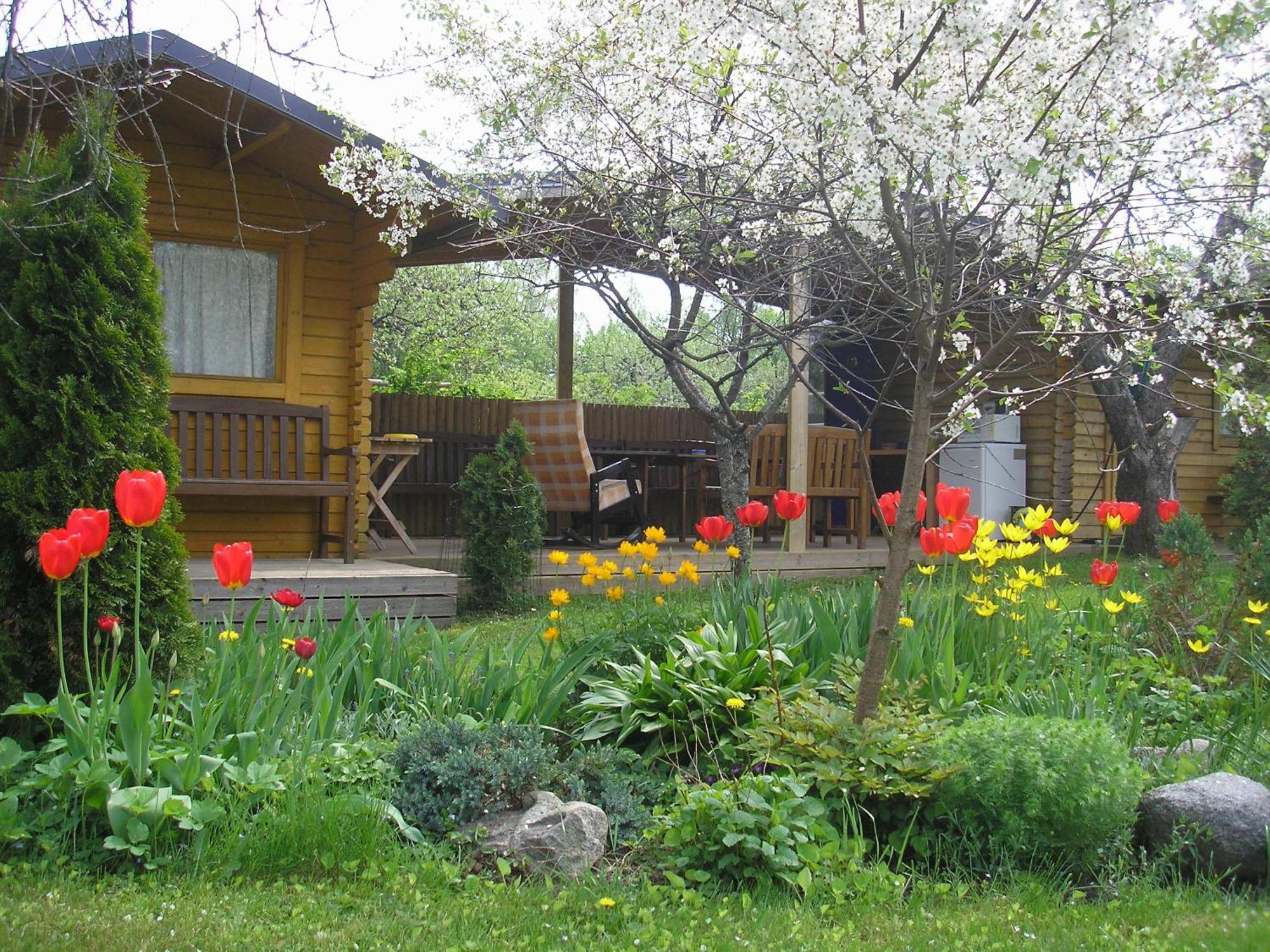 Kaare Guesthouse Viljandi  Eksteriør billede
